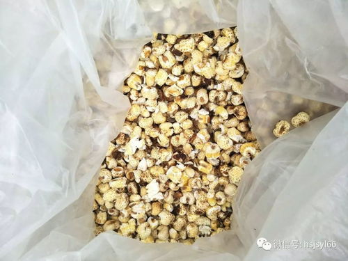 點擊這里 獲取2018的正確打開方式