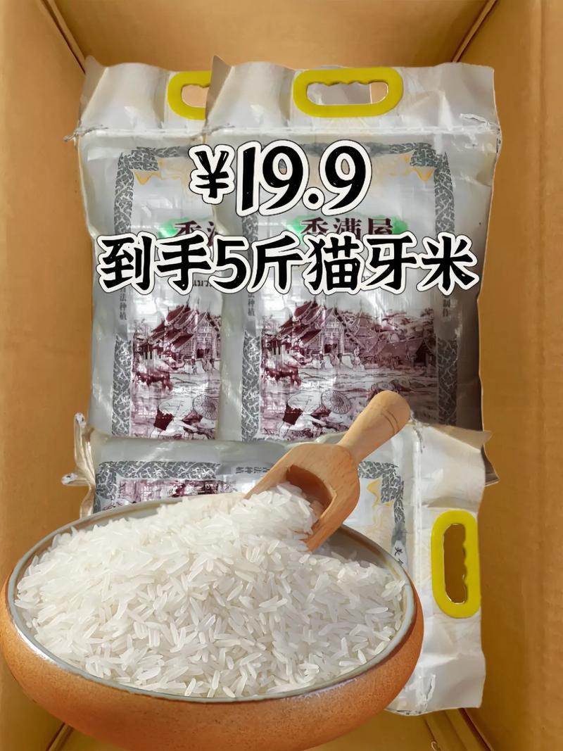 一年只有一季的貓牙米你吃過嗎?當(dāng)季新米,粒粒飽滿,煮出來的飯 - 抖音